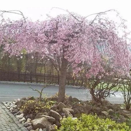 Ue Villa * 希尔沙伊德